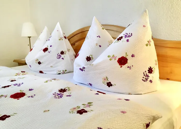 بيت ضيافة Haus Adlerkanzel